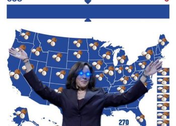 해리스 상징 ‘코코넛’ 밈 대유행…조롱에서 지지로