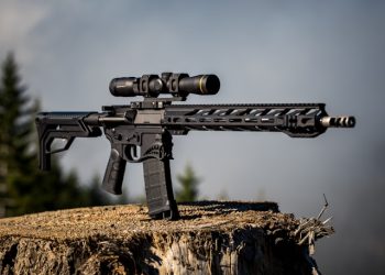 연방법원, “AR-15 소총 금지령은 ‘위헌'” 판결