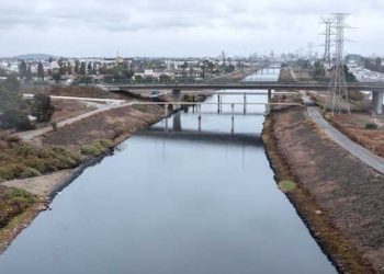 카슨시 수로에서 다리 잘린 여성 시신 발견