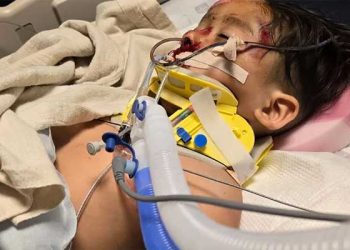 술 사러 가던 음주차량, 자전거 타던 일가족 덮쳐…5살 아이 뇌사