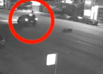 “보행자 치고 도주 뺑소니 살인차량 신고해주세요”(영상)