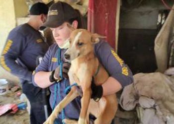 “최악의 동물학대” 쓰레기통 집서 개 40마리 키우다 절반 폐사