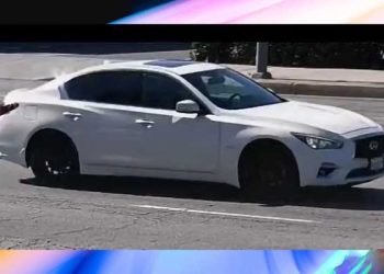 흰색 인피니티브가 뺑소니 차량 …현상금 2만 5천 달러