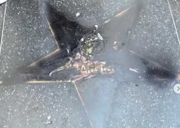 할리웃 명예의 거리 제니 리베라 “별” 2주 만에 훼손