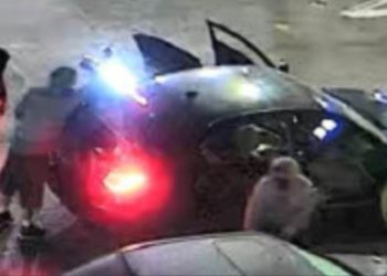 유명 할리웃 배우 살해, 촉매변환기 절도범들 소행