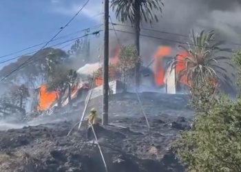 폭염 속 산불 급속 확산 …엣지힐 산불, 주택 10여 채 불 타