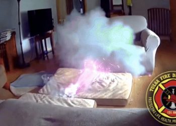 반려견 보조배터리 물어뜯자 ‘펑’…미 주택 화재(영상)