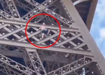 웃통 벗은 남성 에펠탑 300m 등반…방문객들 ‘혼비백산’