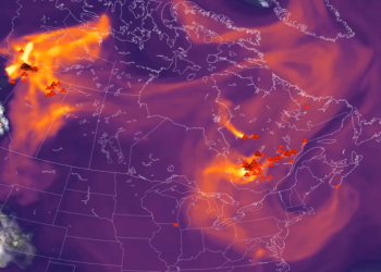 지난해 최대 탄소배출국은 캐나다 …극한 산불때문