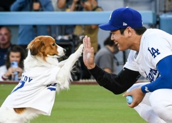 ‘세상에서 가장 깜찍한 시구’ 마운드 오른 오타니 반려견