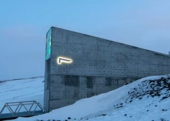 ‘최후의 날’ 저장고 침수…달로 ‘노아의 방주’ 보내야[사이언스]