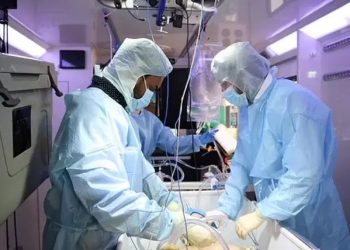 시신 냉동 보존해주는 ‘이 회사’… 뇌만 얼리면 8만달러