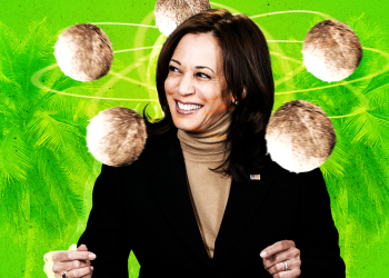 [Amber Thornal] How Harris Succeeded in Appealing to Gen. Z Voters: Its Power and Risk