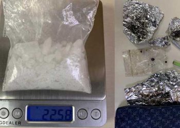 마약공장, 주택가에 있었다…주민신고로 급습, 17명 체포