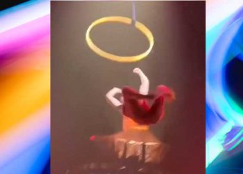 태양의 서커스 공연단 라스베가스 공연 중 추락사고