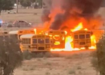 교육구 스쿨버스 주차장 큰 화재 … 통학차량 여러 대 불 타