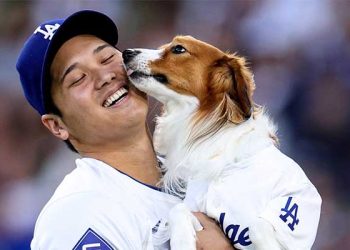 ‘1홈런 2도루 추가’ 오타니, 사상 최초 50-50 간다