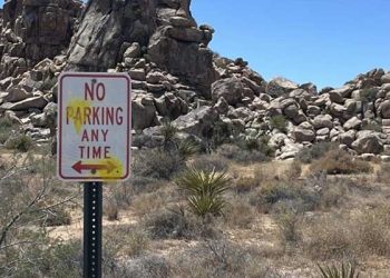 독일관광객들 체포…조슈아트리 국립공원서 페인트볼