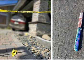 간병인이 환자 주택으로 차량 돌진…돌보던 윌체어 남성 살해, 범인 총격사살