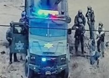 3시간 동안 애완동물 81마리 학살…경찰, 장갑차 동원 체포