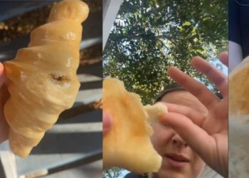 테무서 산 ‘빵 조명’, 개미 수백마리 꼬인 이유는