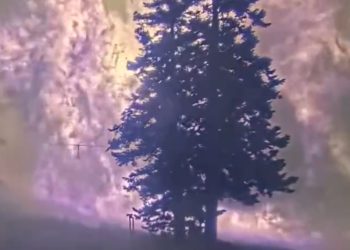 남가주 산불 폭발적 확산…산간지역 주택들 전소