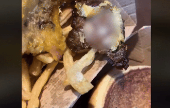 “맥도날드 너무 역겨워”… 햄버거에서 구더기 ‘꿈틀'(영상)