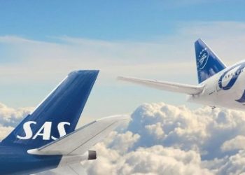 기내식 뜯었다가 기겁…살아있는 ‘이것’ 나와 비상착륙