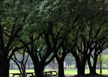 “세계에서 멋진 동네 ‘4위’ 서울 성수동”