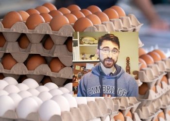 [건강] 한 달간 달걀 720개 먹은 미국 의사, 그의 몸에 나타난 충격적 변화