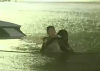 [화제] 허리케인 생방송 폭스뉴스 기상캐스터의 놀라운 행동