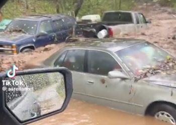 허리케인에 남부 쑥대밭 …최소 95명 사망, 수백명 실종
