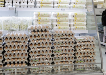 계란값 30% 급등 …맥도날드 메뉴도 바뀌었다