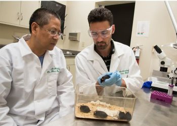 “목숨 끊고, 재판 받고 ” … ‘중국 연루’ 미국 과학자들의 몰락