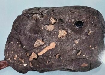 바위에 감춘 ‘몰카’…온천서 목욕 여성 1000명 찍혀