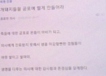 “사람 더 죽어 나가길” …이것들이 의사인가