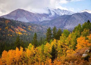 깊어가는 가을, 단풍여행 어디가 좋을까(지도)