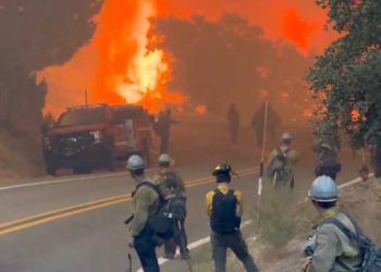 라인산불 재발화 .. 일부 지역 주민 또 대피령