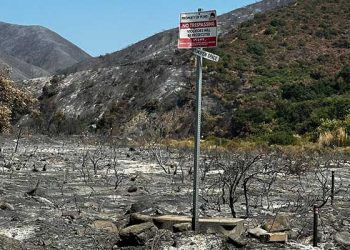 ‘5만 에이커 잿더미’ 에어포트 산불도 인재? …방화의심 수사