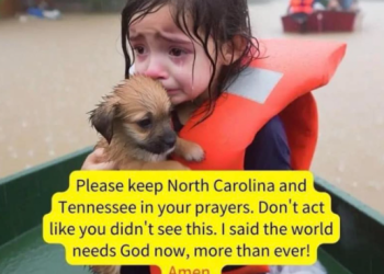 미국 울린 허리케인 소녀 … AI가 만든 가짜였다