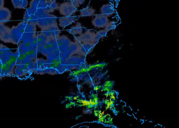 허리케인 강풍 탬파베이 홈구장 지붕 통째 날아가 …12명 사망