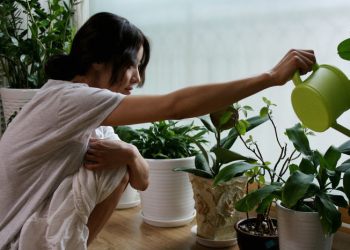 채식주의자·흉터…노벨문학상 한강 소설 원작 영화는