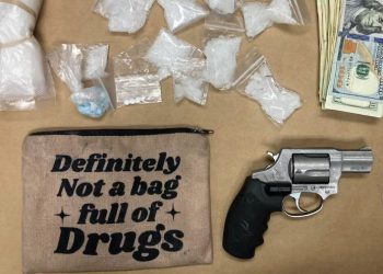 “절대 마약 든 거 아님” 가방 열었더니 필로폰 우수수