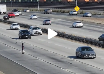 목숨 건 무단횡단 … 쇼핑백 여성, 폰타나 ’10차선 프리웨이’ 유유히(영상)