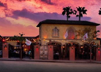 할리웃판 버닝선? … “이 나이트클럽만 가면 음료 마신 뒤 실신”