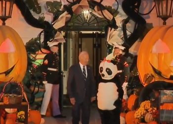 “바이든, 제발 선거 전까지 나오지 마” …민주당 부글부글