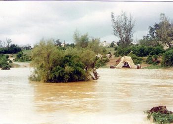 “50년 만에 처음” 모로코-알제리 사하라 사막 폭우로 물바다