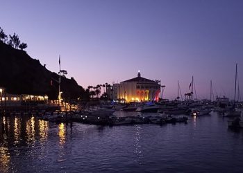 야간비행 경비행기 카탈리나 아일랜드 추락 … 여러명 사망