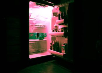 “집 잃을까 봐”…4년간 아버지 시신 냉장고 방치