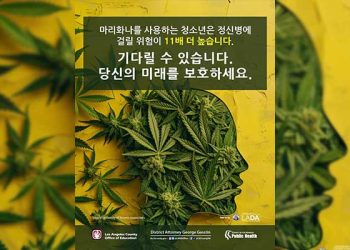 “마리화나 독성, 23배나 더 커져” … LA검찰, 경고 캠페인 시작